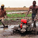 Burkina Faso: La FAO à pied d’œuvre avec son programme "Médecins des sols"