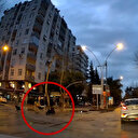 Başıboş köpeklerin etrafını sardıkları yayla saldırma anları araç kamerasında