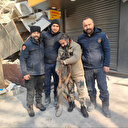 Enkazdan çıkınca köpek korkusunu unutup kurtarma köpeğine sarıldı