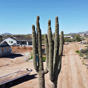 En Arizona: la sécheresse déclenche une guerre entre voisins