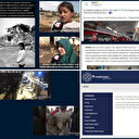 İletişim Başkanlığı'ndan 19-20 Mart Dezenformasyon Bülteni