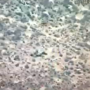 L'armée de l'air du Burkina Faso neutralise des terroristes à l’aide d'un drone turc TB2