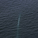 La Corée du Nord a testé un nouveau drone sous-marin d'attaque nucléaire