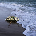 Tunisie: les corps de neuf migrants subsahariens repêchés au large des côtes sud-est du pays