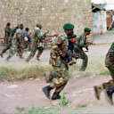 Est de la RDC: 20 rebelles ADF tués par les armées congolaise et ougandaise