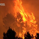 Espagne: les incendies ravagent 4 600 hectares de forêts