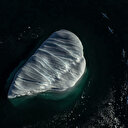 Le tourisme incontrôlé menace l'environnement de l'Antarctique