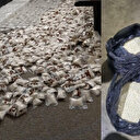 Liban: saisie de 960 000 pilules de captagon et 208 kg de cannabis