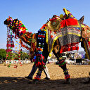 Inde: Le Festival international Holi met à l'honneur les chameaux parés pour l'occasion