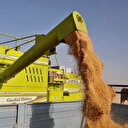 Hindistan Afganistan'a 20 bin ton buğday gönderecek