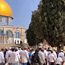 Al-Aqsa: Profanation par des colons israéliens