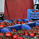 Ticaret Bakanlığı 'domateslerin çöpe dökülmesine' para cezası için işlem başlattı