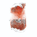 Türkiye Yüzyılı için yeni bir ekonomik enstrüman önerisi: Zekat Fonu