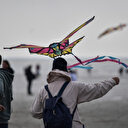 Festival du cerf-volant en France