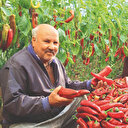 Deprem illerine sanayi koridoru