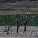 L'Espagne entame une semaine de vague de chaleur exceptionnelle