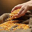 Üç üründe gümrük vergileri yüzde 130 olarak belirlendi