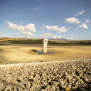 Tunisie: Les tortues de Oued Chiba résistent au déficit hydrique