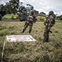 Cameroun: Six militaires tués dans l'explosion d'une mine