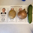 Sandığa ilk oyları atan gurbetçilerden fotoğraflı mesaj: Soğan patates salata oy Erdoğan'a