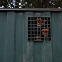 Cameroun / Crise anglophone: Un Américain d’origine camerounaise condamné pour son soutien aux séparatistes