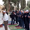 İşgalci İsrail polisi Mescidi Aksa avlusunda namaz kılan Müslümanları itti