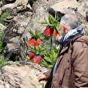 Yılın sadece 20 günü yaşıyor başında nöbet tutuyorlar: Koparmanın cezası 244 bin lira