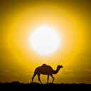 Maroc: 2022, année la plus chaude enregistrée depuis plus de 40 ans