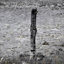 Tunisie: L’agriculture plombée par une sécheresse inédite