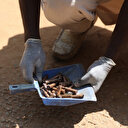 Nigéria: 16 civils tués dans une attaque terroriste