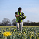 Immigration: Londres promet 45.000 visas saisonniers dans l'agriculture 