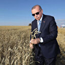 ABD'den Cumhurbaşkanı Erdoğan'a 'tahıl' teşekkürü