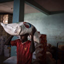 Kenya: suspension de 27 fonctionnaires soupçonnés de détournement de sucre impropre à la consommation