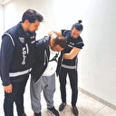 Ankara Kuşu kafeste