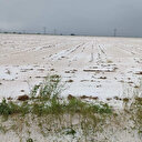 Niğde'de dolu tarım arazilerine zarar verdi