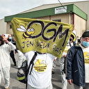 Agriculture: bataille en vue à Bruxelles pour réguler les "nouveaux OGM"