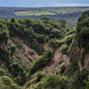 Brésil: revers en série au Congrès pour les défenseurs de l'environnement