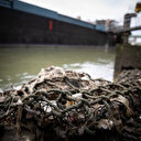 Le long de la Seine, l'étonnant périple des déchets plastiques