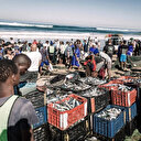 La Côte d'Ivoire impose des périodes de fermetures de pêche en mer
