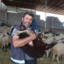 Hatay'da hayvanları telef olan depremzedeye devlet el uzattı: Gel koyununu al dediler şok yaşadım