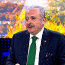Meclis Başkanı Mustafa Şentop: Millet gerçeği varken taklidiyle uğraşmaz