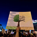 Les arbres, pomme de la discorde à Madrid avant les élections
