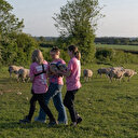 Des militants animalistes volent des agneaux dans une propriété du roi Charles III