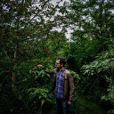 Dans l'Est de la France, une forêt à manger pour sauver la planète