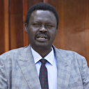 Soudan: Le gouverneur du Darfour appelle les civils à prendre les armes