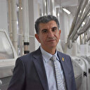Tahıl Koridoru Anlaşması'yla buğday fiyatları yarıya indi