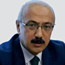 Lütfi Elvan kimdir?