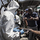 RDC/Insécurité: 250 personnes tuées à Djugu
