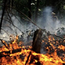 Canada / Feux de forêts: la province de l’Alberta décrète l’état d’urgence