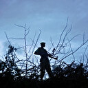 Somalie: Un attentat terroriste déjoué à Mogadiscio